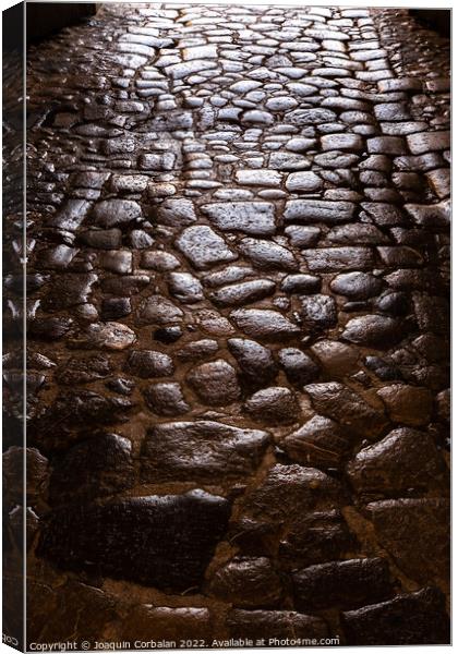 Ancient roman pavement with smooth stones, background and textur Canvas Print by Joaquin Corbalan