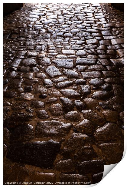 Ancient roman pavement with smooth stones, background and textur Print by Joaquin Corbalan