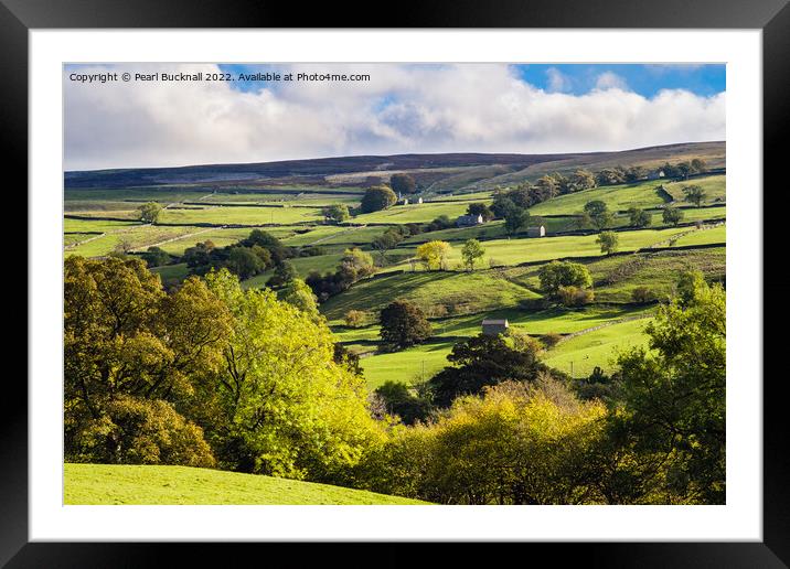 Scenic Swaledale Yorkshire Dales Framed Mounted Print by Pearl Bucknall