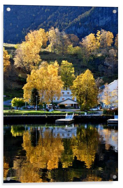 Autumn Trees Flam Aurlandsfjord Norway Acrylic by Andy Evans Photos