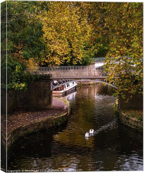 Swan babies swimming along the canal in autumn Canvas Print by Rowena Ko