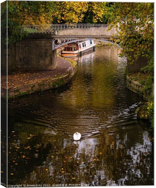 Swan swimming along the canal in autumn Canvas Print by Rowena Ko