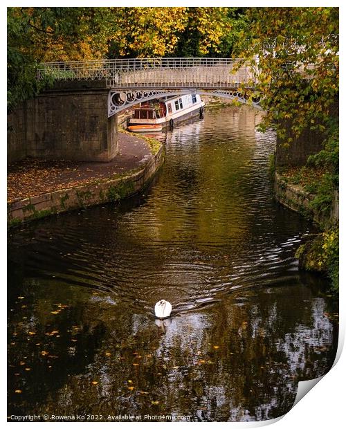 Swan swimming along the canal in autumn Print by Rowena Ko