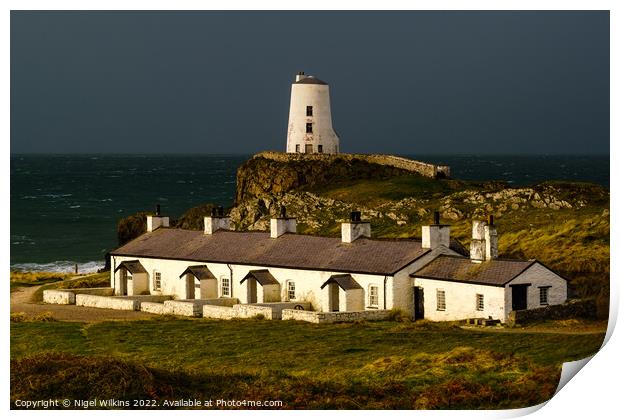 Twr Mawr Lighthouse and Pilots Cottages, Anglesey Print by Nigel Wilkins