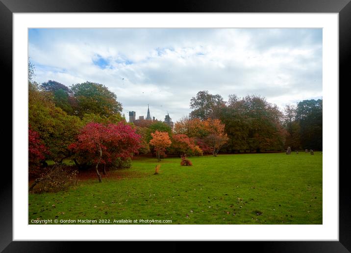 Autumn in Bute Park, Cardiff, South Wales Framed Mounted Print by Gordon Maclaren
