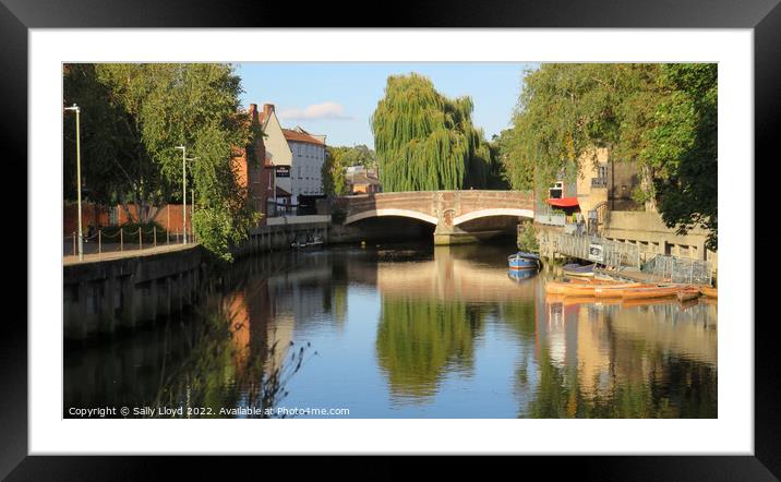 View of Fye Bridge Norwich Framed Mounted Print by Sally Lloyd