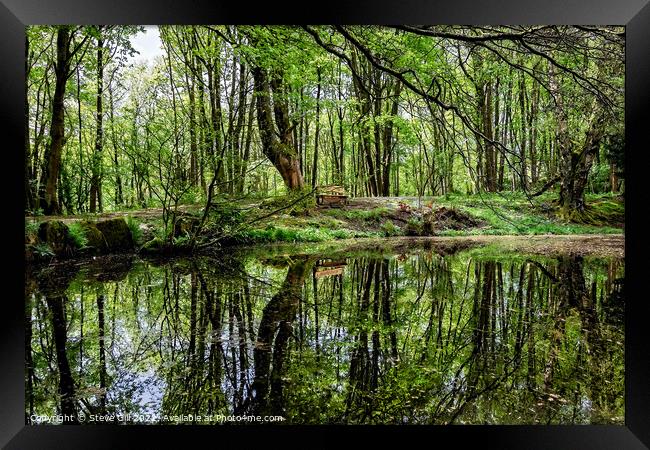 Reflections of Leafy Trees on a Tranquil Rural Pond. Framed Print by Steve Gill
