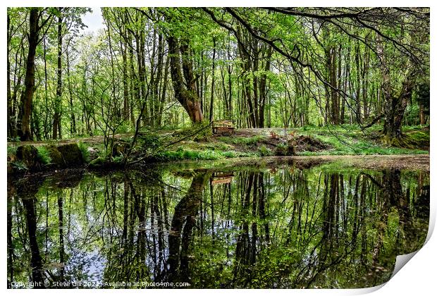 Reflections of Leafy Trees on a Tranquil Rural Pond. Print by Steve Gill
