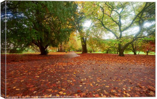 Autumn in Bute Park, Cardiff, South Wales Canvas Print by Gordon Maclaren