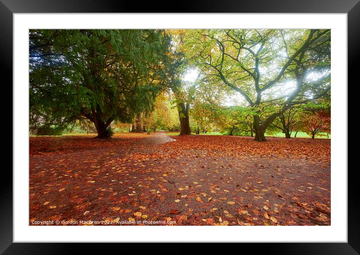 Autumn in Bute Park, Cardiff, South Wales Framed Mounted Print by Gordon Maclaren