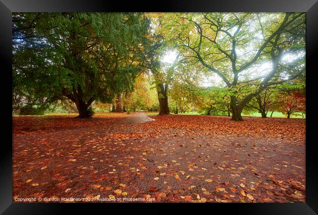 Autumn in Bute Park, Cardiff, South Wales Framed Print by Gordon Maclaren
