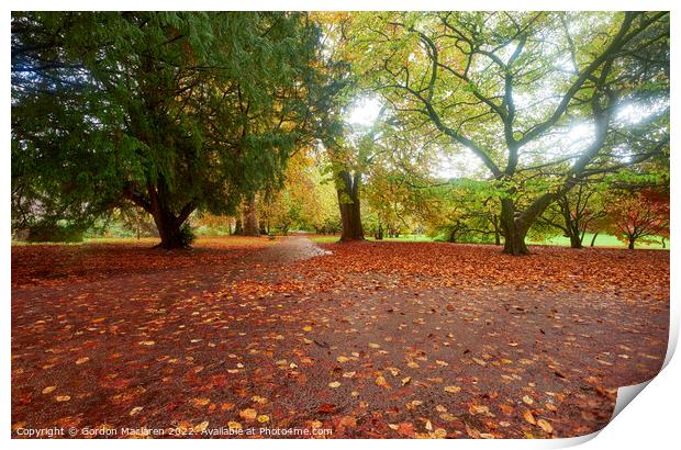 Autumn in Bute Park, Cardiff, South Wales Print by Gordon Maclaren
