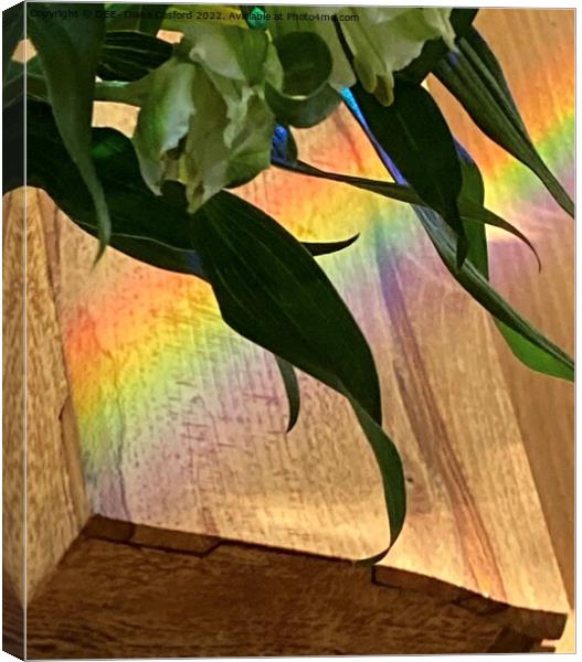 Silhouetted leaves with prism Canvas Print by DEE- Diana Cosford