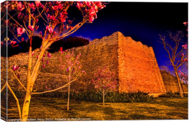 Magnolias Ming City Wall Park Night Illuminated Beijing China Canvas Print by William Perry