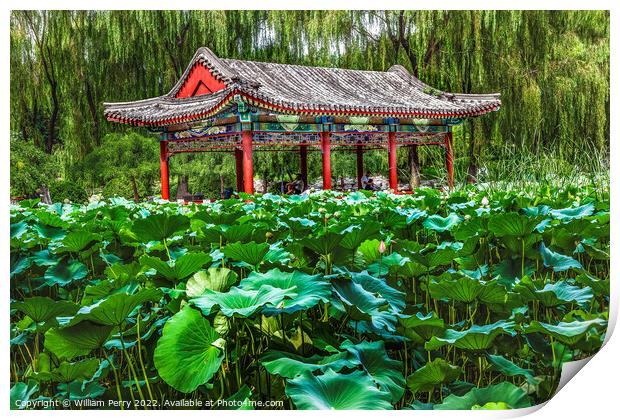 Red Pavilion Lotus Garden Temple of Sun Beijing, China Print by William Perry
