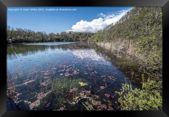 Bosherton Lakes in Pembrokeshire Framed Print by Kevin White