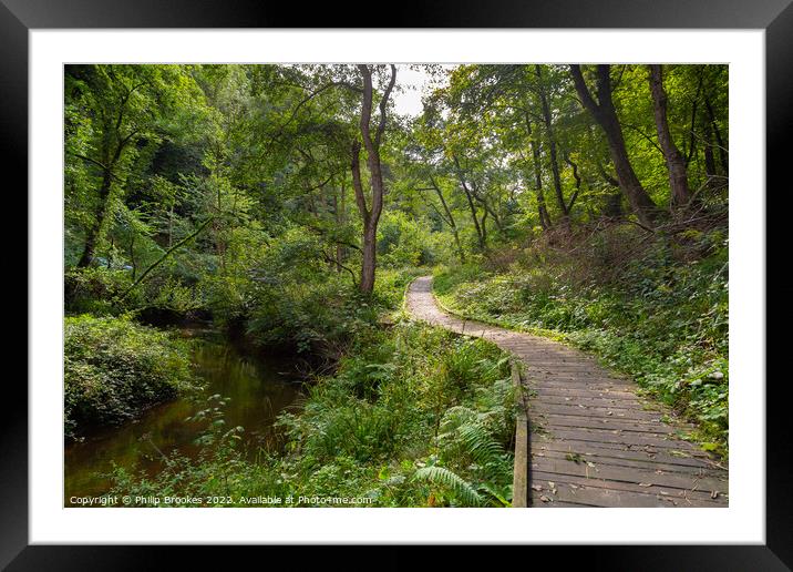 Forge Valley Woods, Scarborough Framed Mounted Print by Philip Brookes