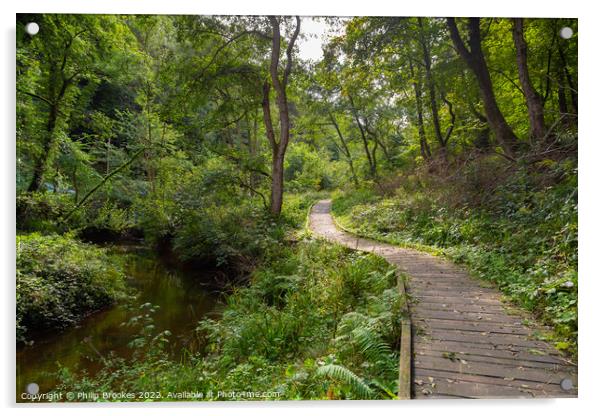 Forge Valley Woods, Scarborough Acrylic by Philip Brookes