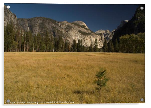 Yosemite Valley, California Acrylic by Simon Armstrong