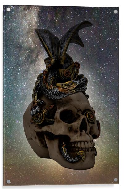 Steampunk Dragon Skull Acrylic by Steve Purnell