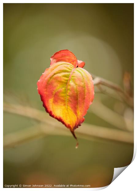 autumn leaf Print by Simon Johnson