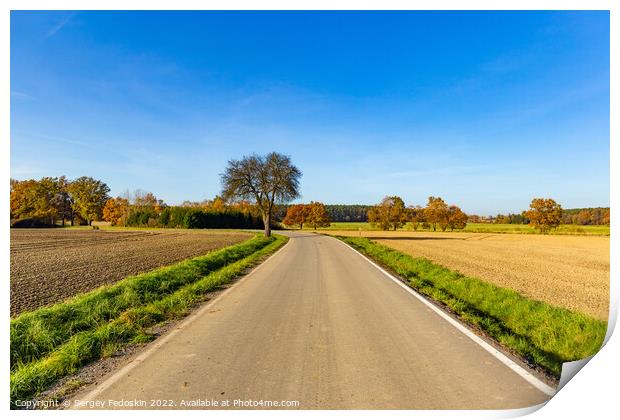 Sunny autumn day in european countryside. Rural road. Czech Republic. Print by Sergey Fedoskin