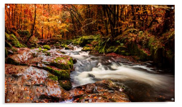 River Fowey, Golitha falls, Bodmin Acrylic by Maggie McCall