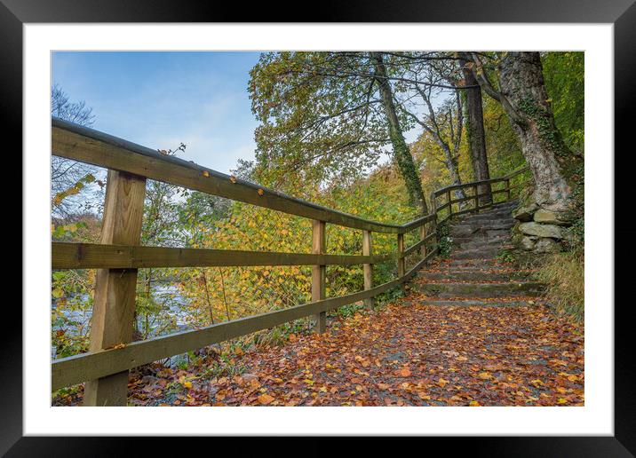 Steps lead to Strid Wood Framed Mounted Print by Jason Wells