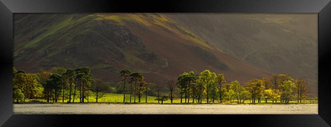 Buttermere Pines With Fleetwith Pike Framed Print by Phil Durkin DPAGB BPE4