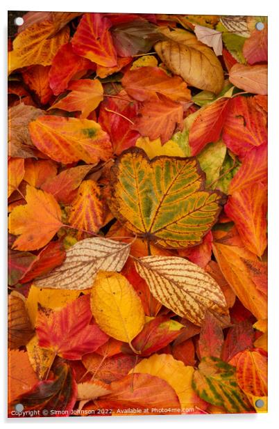Autumn leaf collage Acrylic by Simon Johnson