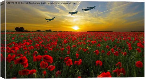 spitfires over a poppy field Canvas Print by Derrick Fox Lomax