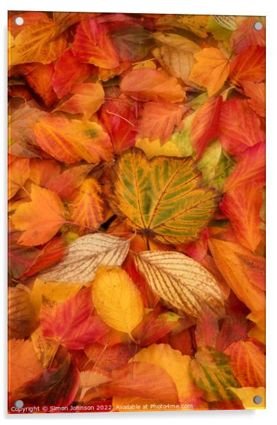 A group of colourful autumn leaves  Acrylic by Simon Johnson