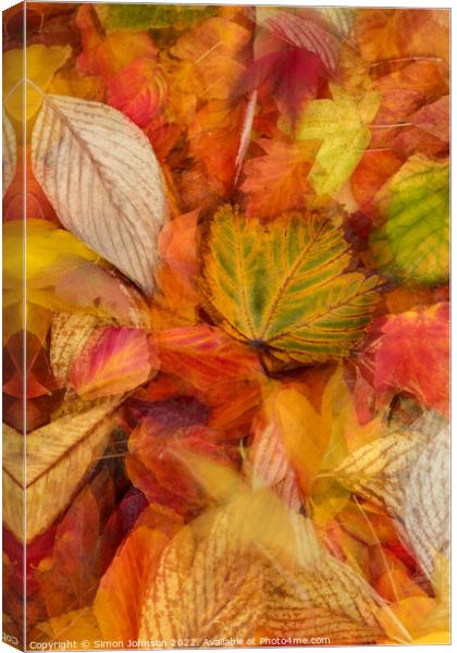 Autumn leaves Canvas Print by Simon Johnson