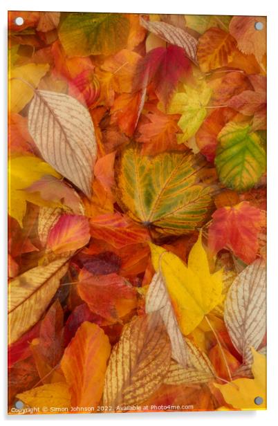 Autumn  leaves Acrylic by Simon Johnson