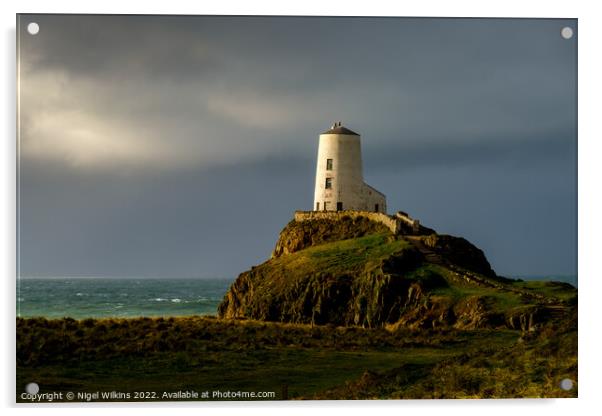 Twr Mawr Lighthouse, Anglesey Acrylic by Nigel Wilkins