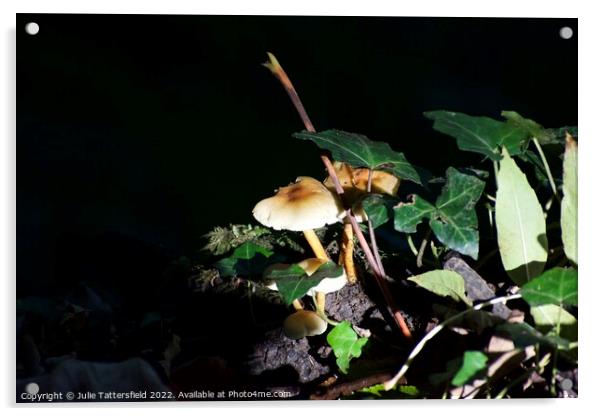 Mushroom light  Acrylic by Julie Tattersfield