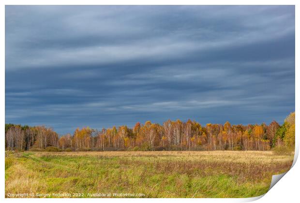 Fields and forests in cloudy, autumn weather. Late fall. Europe. Print by Sergey Fedoskin