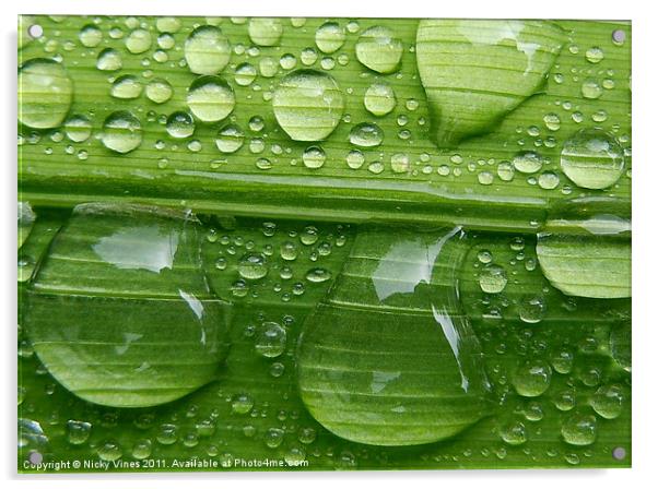 Water droplets Acrylic by Nicky Vines