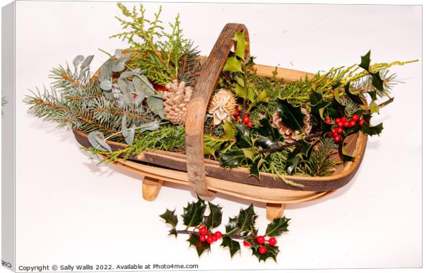Trug with cut greenery for decorations Canvas Print by Sally Wallis