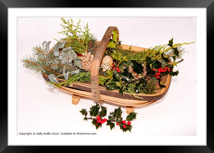 Trug with cut greenery for decorations Framed Mounted Print by Sally Wallis