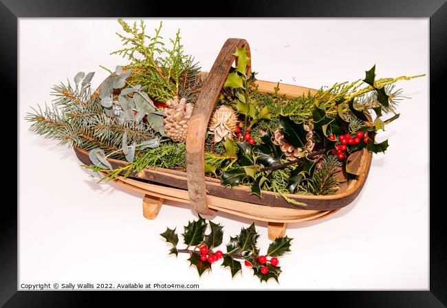 Trug with cut greenery for decorations Framed Print by Sally Wallis