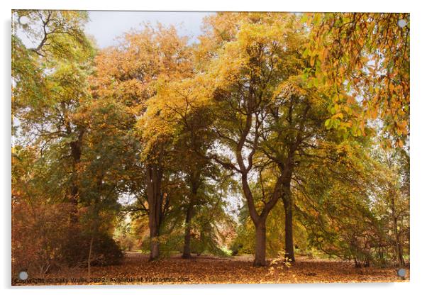 Woodland Autumn colors Acrylic by Sally Wallis