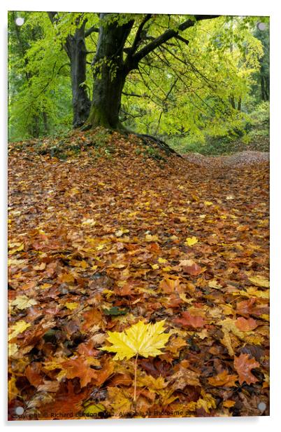 Autumn Leaves Acrylic by Richard Burdon