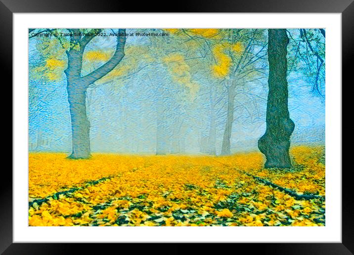 Blue Mist and Yellow Leaves Framed Mounted Print by Taina Sohlman