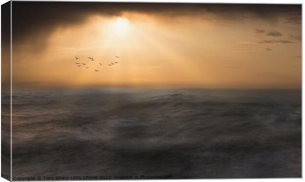 SEASCAPE 5 Canvas Print by Tony Sharp LRPS CPAGB