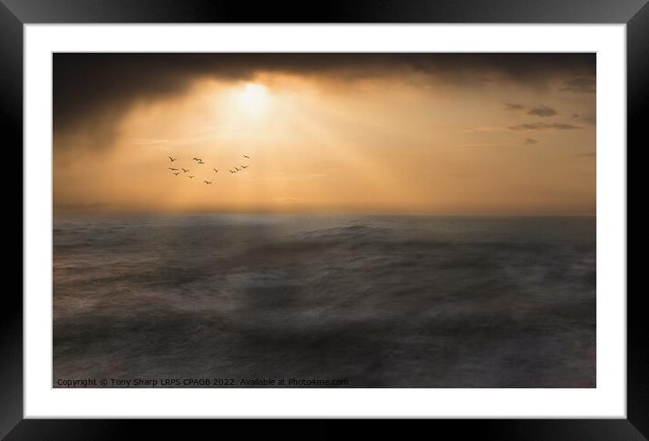 SEASCAPE 5 Framed Mounted Print by Tony Sharp LRPS CPAGB