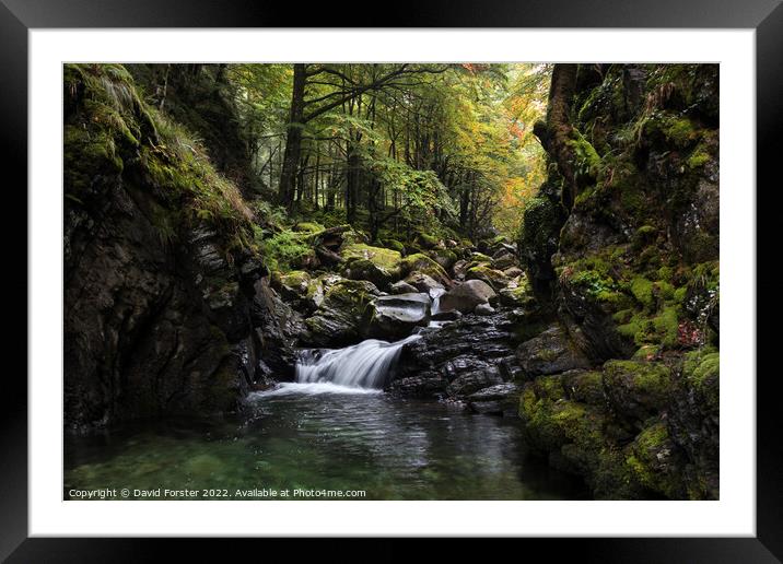 Autumn Stream, Ariege, Pyrenees, France Framed Mounted Print by David Forster
