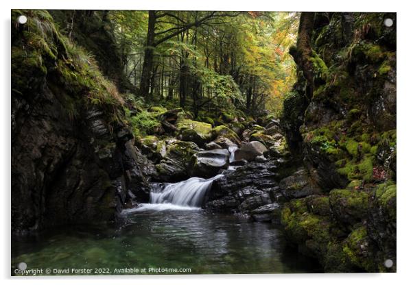 Autumn Stream, Ariege, Pyrenees, France Acrylic by David Forster