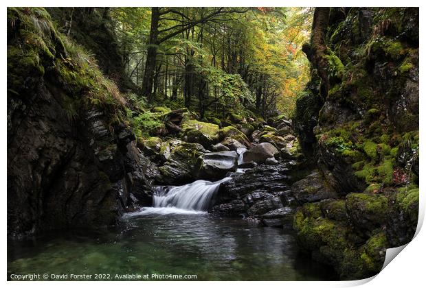 Autumn Stream, Ariege, Pyrenees, France Print by David Forster