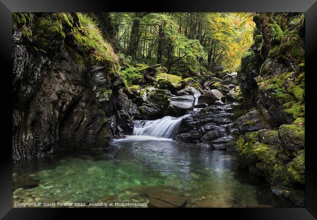 Autumn Stream, Ariege, Pyrenees, France Framed Print by David Forster